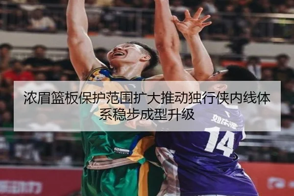 浓眉篮板保护范围扩大推动独行侠内线体系稳步成型升级